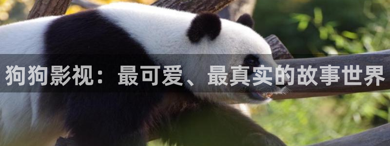 国产嫩草影院在线观看视频：狗狗影视：最可爱、最真实的故事世界