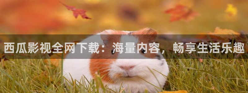 亚洲国产嫩草影院：西瓜影视全网下载：海量内容，畅享生活乐趣