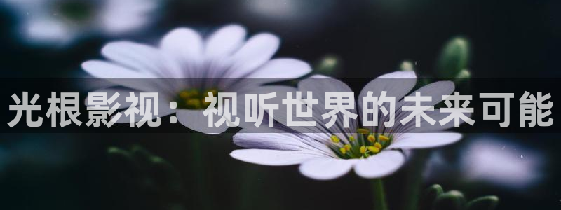 国产嫩草影视最新网址：光根影视：视听世界的未来可能