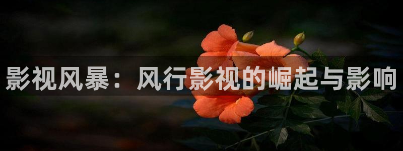 92久久偷偷做嫩草影院免费：影视风暴：风行影视的崛起与影响