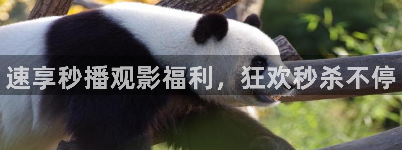 久久国产精品嫩草影院的使用方法